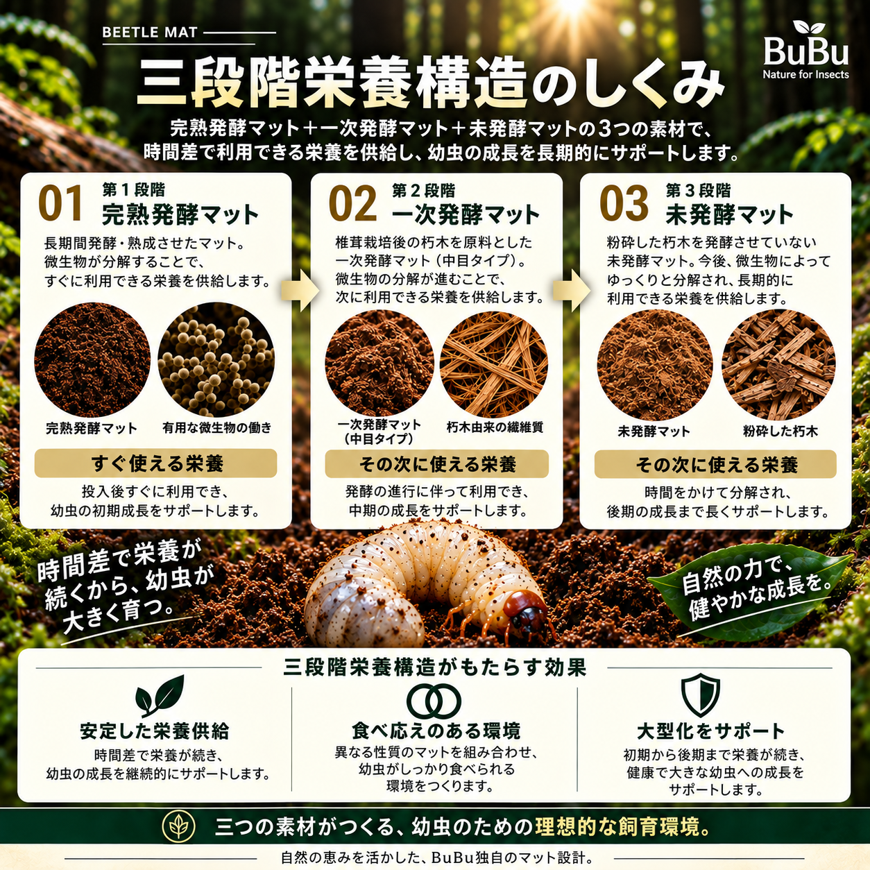 ウルトラカブトマットの三段階栄養構造のしくみ
