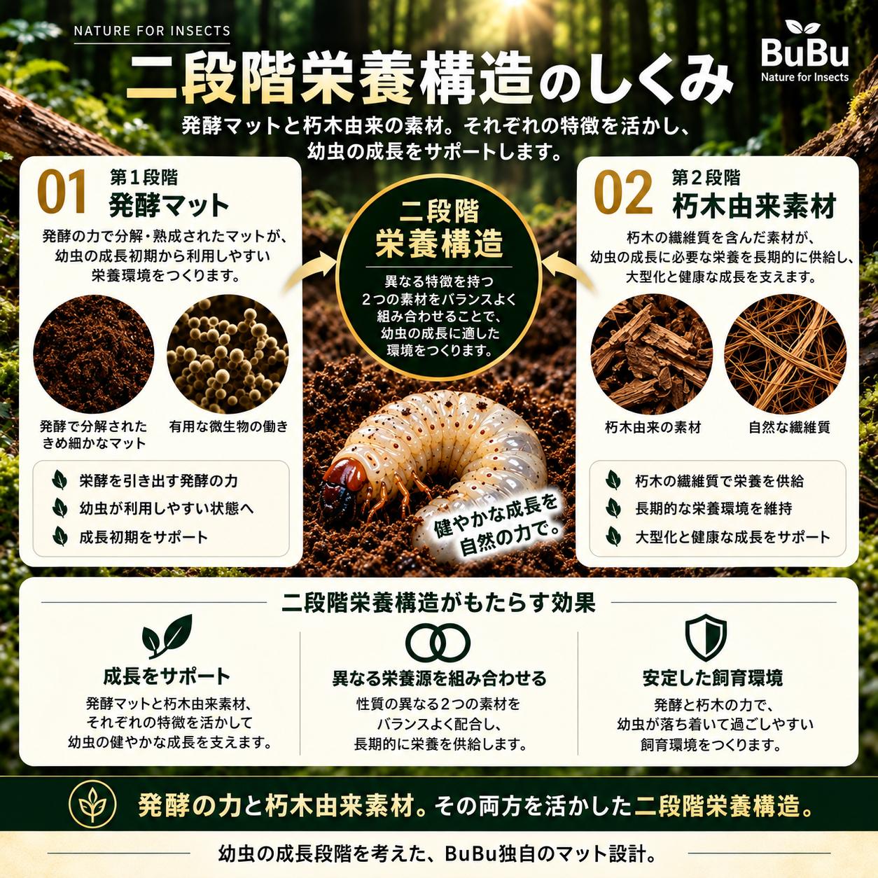 クワガタマット（ヒラタ用）の二段階栄養構造