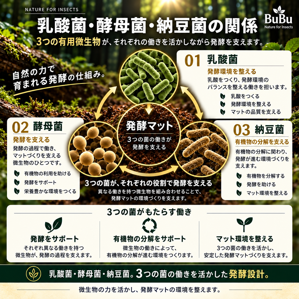 微生物の働きについての解説